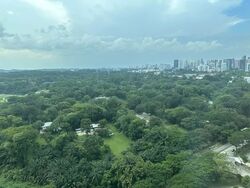 Blk 88 Skyville @ Dawson (Queenstown), HDB 4 Rooms #584175021